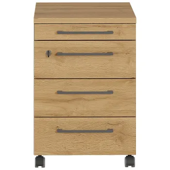 Dulap gri antracit cu aspect de lemn de stejar 42x61 cm Agenda - Germania b80c imagine