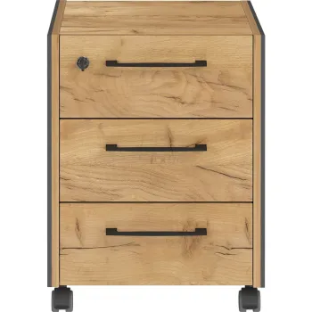 Dulap gri antracit/in culoare naturala cu aspect de lemn de stejar 42x54x49 cm Podium - Germania 6457 imagine