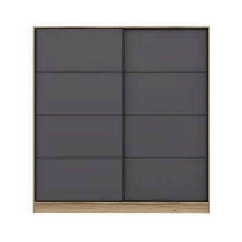 Dulap pentru haine, Minerva, Kale, 180x210x52 cm, PAL, Dore / Antracit 7213 imagine