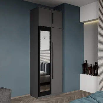 Dulap dormitor 2 usi Gri+oglinda 83 x 240,3 cm - Dallas f302 imagine